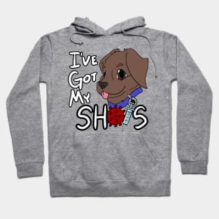 I've Got My Shots (Chocolate Lab, COVID) Hoodie